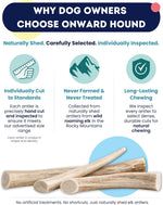 USA sourced natural elk antler for healthy teeth