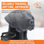 SportDog NoBark 10 rechargeable collar strap adjustment
