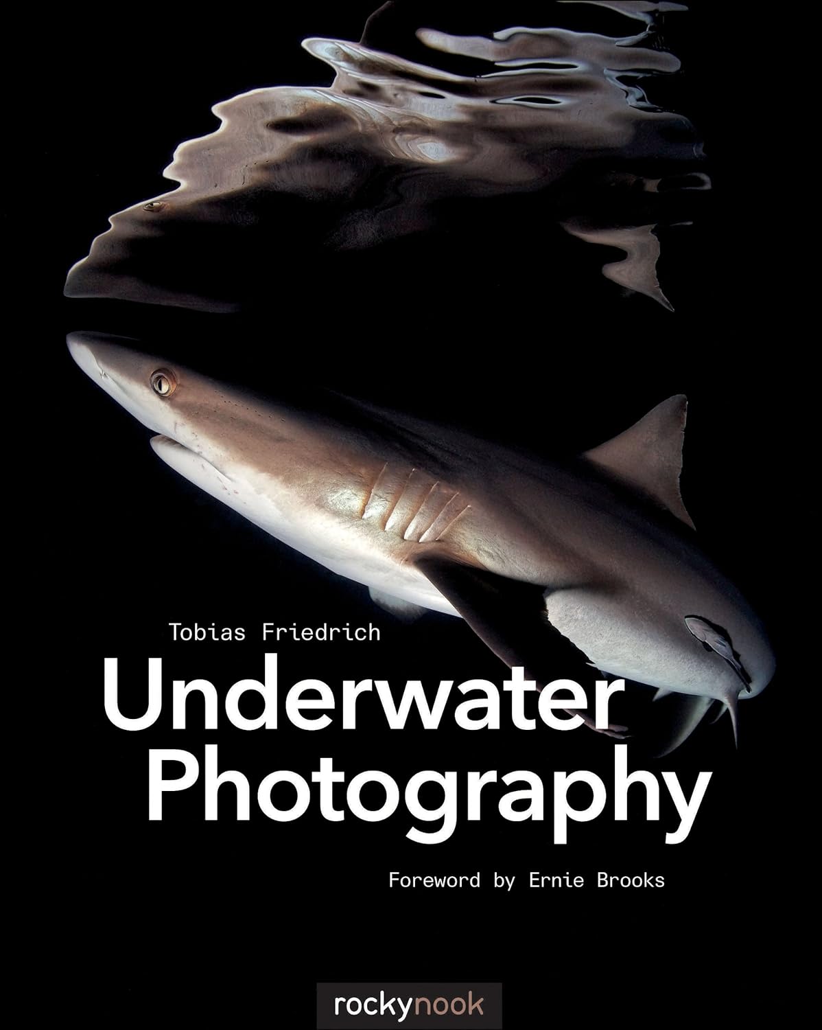 Underwater Photography - Image 1