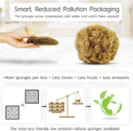 Naroa exfoliating bath sponge wet texture