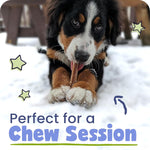 Pawstruck single ingredient beef dog chews packaging details