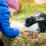 High fiber Timothy grass biscuits for small animal behavioral enrichment.