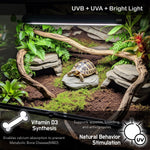 ReptiKing linear strip desert reptile light fixture side angle perspective.