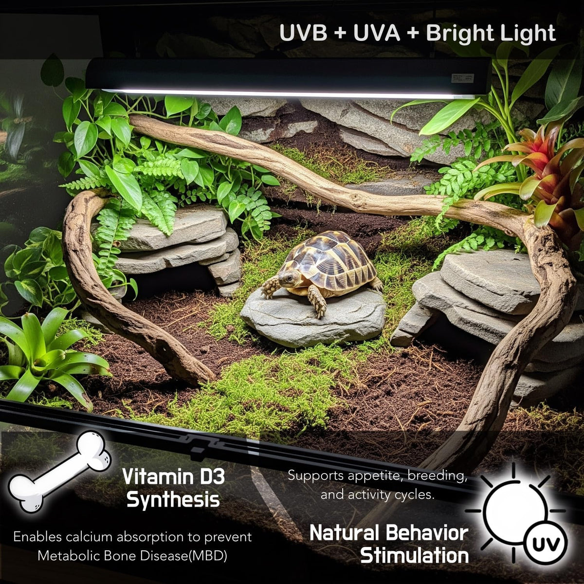 ReptiKing linear strip desert reptile light fixture side angle perspective.