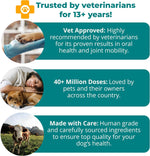Premium USA imported 1-TDC worksSOwell arthritis pain relief supplement for pets