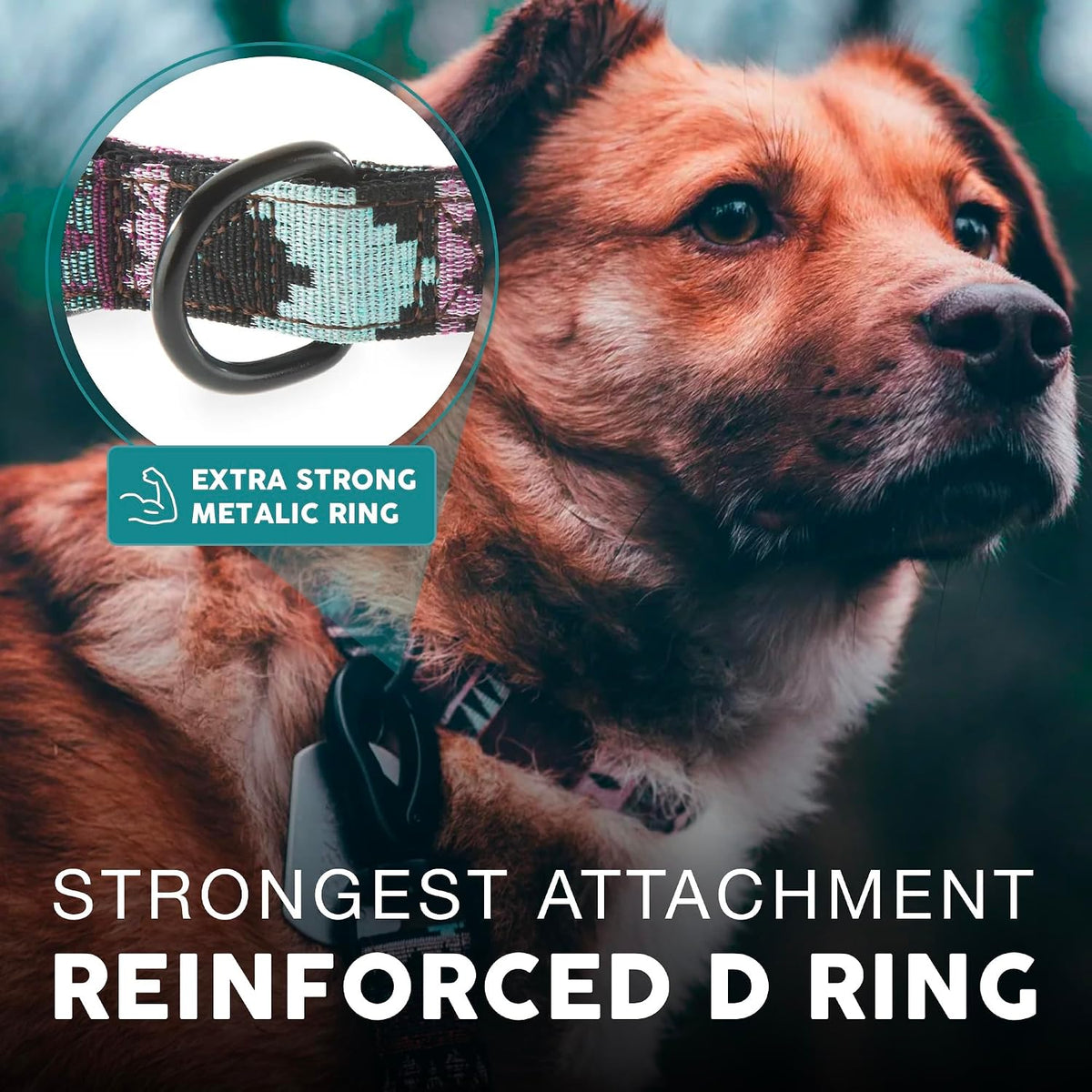 Adjustable sliding straps on large breed dog collar