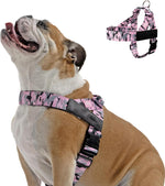 Dog Friendly Co. Dog Harness | Chafe Resistant Webbing, Adjustable Neck & Chest, and Heavy Duty D-Ring | Sturdy, Comfortable, Easy to Use | Classic Blue, Size L - Image 10