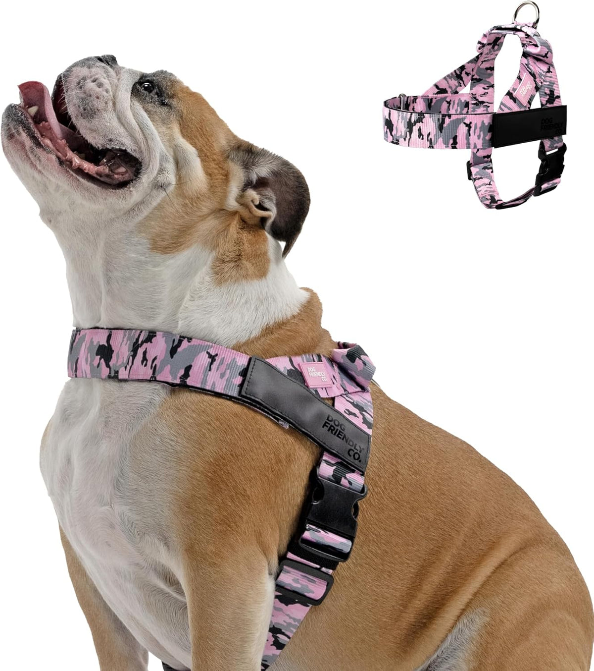 Dog Friendly Co. Dog Harness | Chafe Resistant Webbing, Adjustable Neck & Chest, and Heavy Duty D-Ring | Sturdy, Comfortable, Easy to Use | Classic Blue, Size L - Image 10