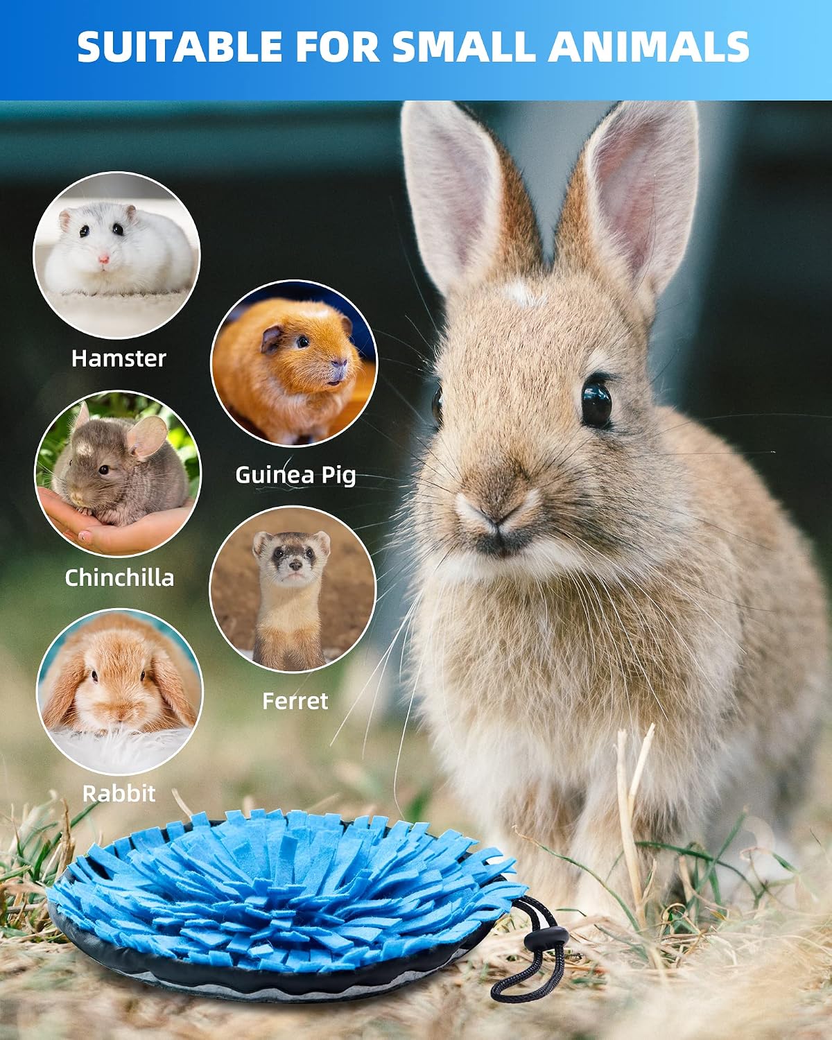 Holland lop bunny interacting with the OVMKOV interactive puzzle toy on the floor
