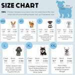 Premium imported winter dog sweaters multi color pack display
