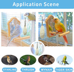 Four pieces of authentic imported cuttlefish bone for parakeets and budgies.