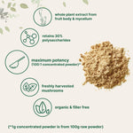 Micro Ingredients Cordyceps mushroom extract powder texture and scoop view