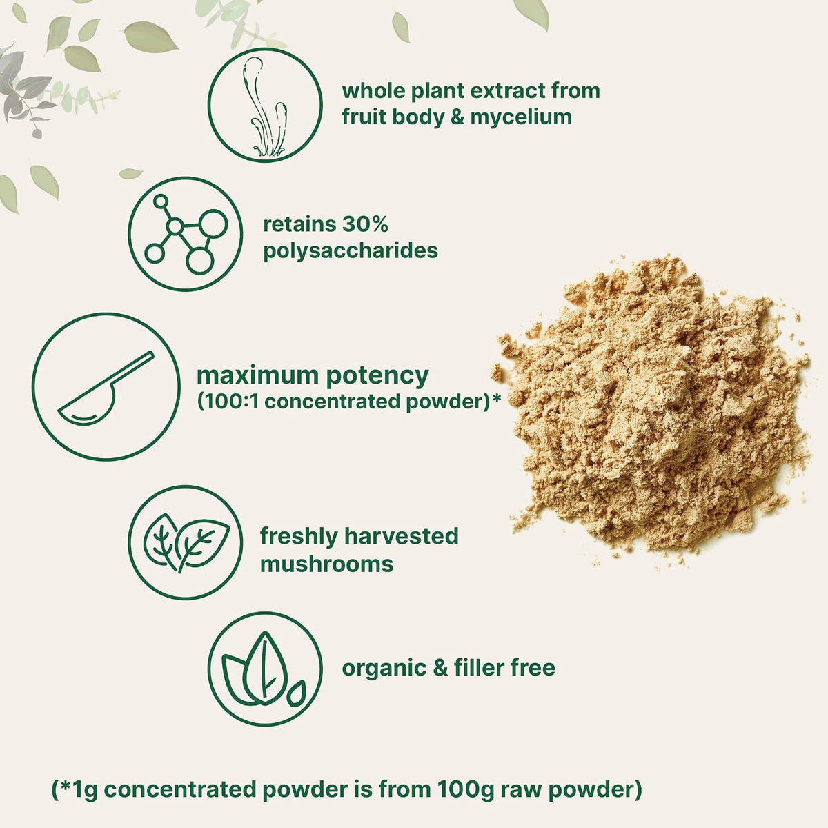 Micro Ingredients Cordyceps mushroom extract powder texture and scoop view