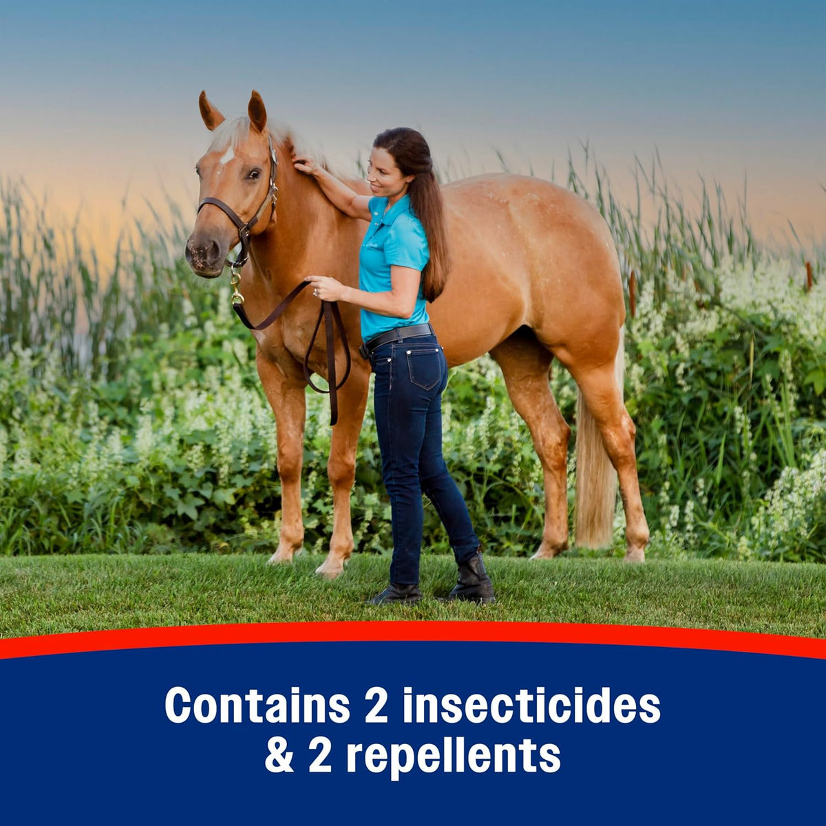 Authentic USA imported Farnam equine bug protection spray container