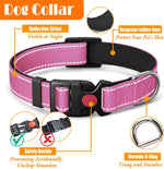 Durable metal buckle and nylon construction of Lobeve dog gear