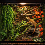 Reptile terrarium with installed plastic jungle vines