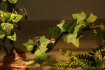 Detail shot of the base of the Aqua KT reptile climbing branch