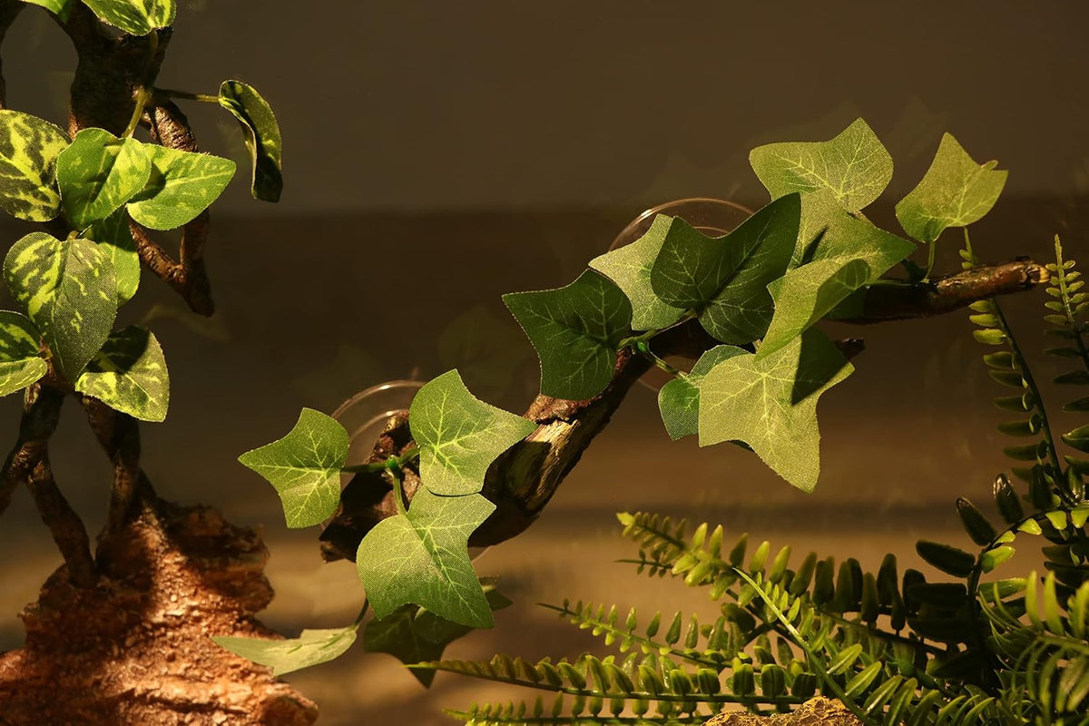 Detail shot of the base of the Aqua KT reptile climbing branch