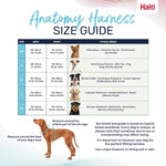 Reflective Halti Anatomy dog harness in low light