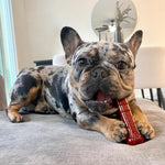 Nylabone durable chew toy for aggressive chewers packaged view