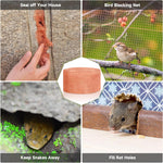 Garden application showing copper mesh repelling slugs and snails