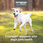 Imported USA joint health supplement for dogs with glucosamine and chondroitin