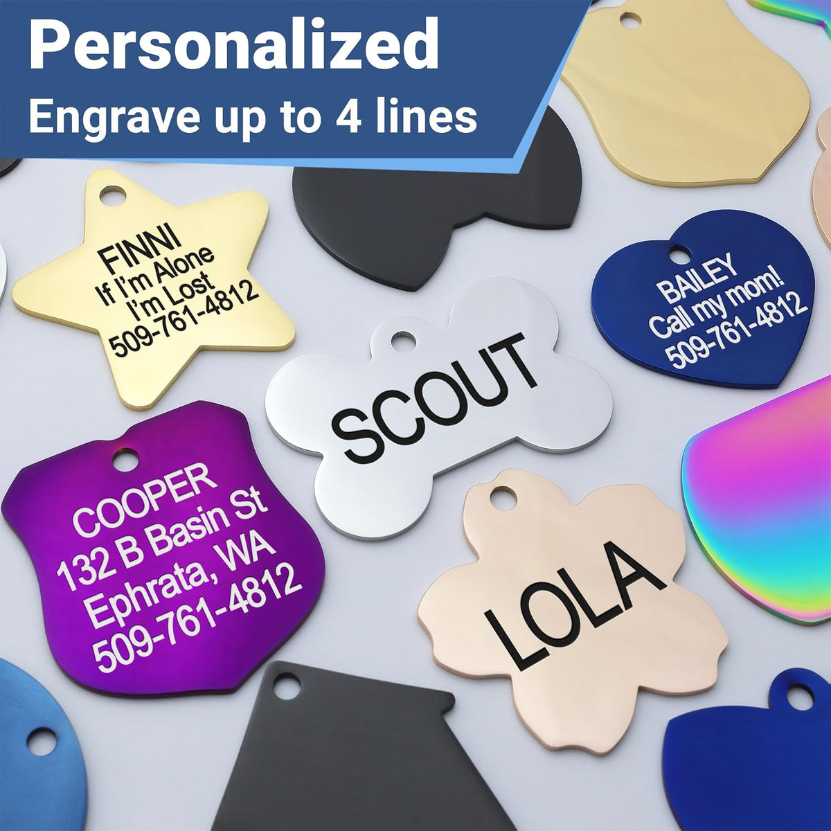 GoTags dual sided personalized cat identification tag with split ring attachment