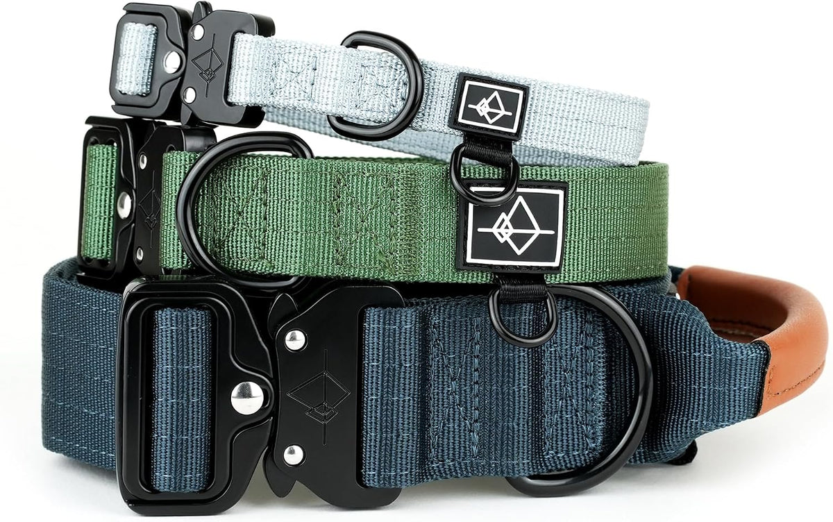 Made To Roam Explorer Dog Collar front view