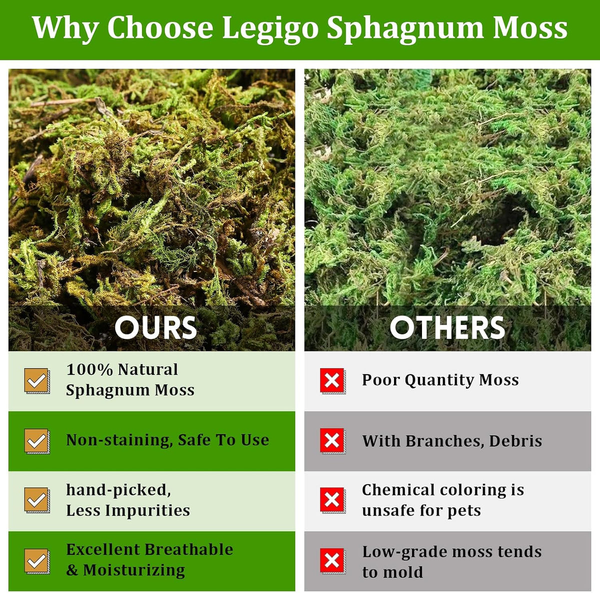 Close up view of porous loose fibers of Legigo sphagnum moss