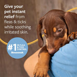 Authentic USA imported Veterinary Formula shampoo bottle