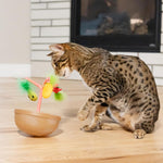 Catstages multi-game cat toy viewed from an elevated angle
