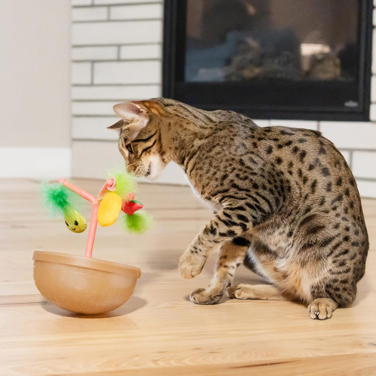 Catstages multi-game cat toy viewed from an elevated angle