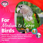 USA imported Super Bird Creations shreddable toy for African Greys cage.