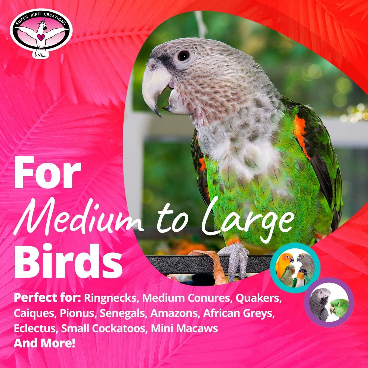USA imported Super Bird Creations shreddable toy for African Greys cage.