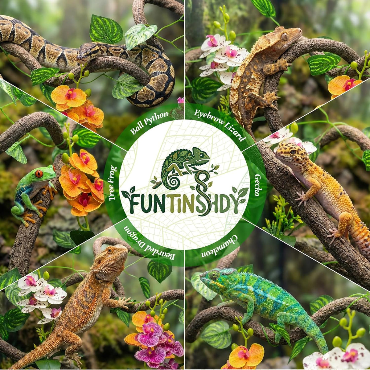 Full set of Funtinshdy reptile terrarium decorations