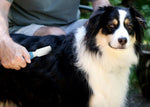 Pets First professional detangling brush being used on a long haired cat to clear matted fur