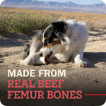 Close up of Redbarn cheese and bacon filled beef femur dog chew