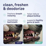 Petpost dental foam for dog teeth cleaning