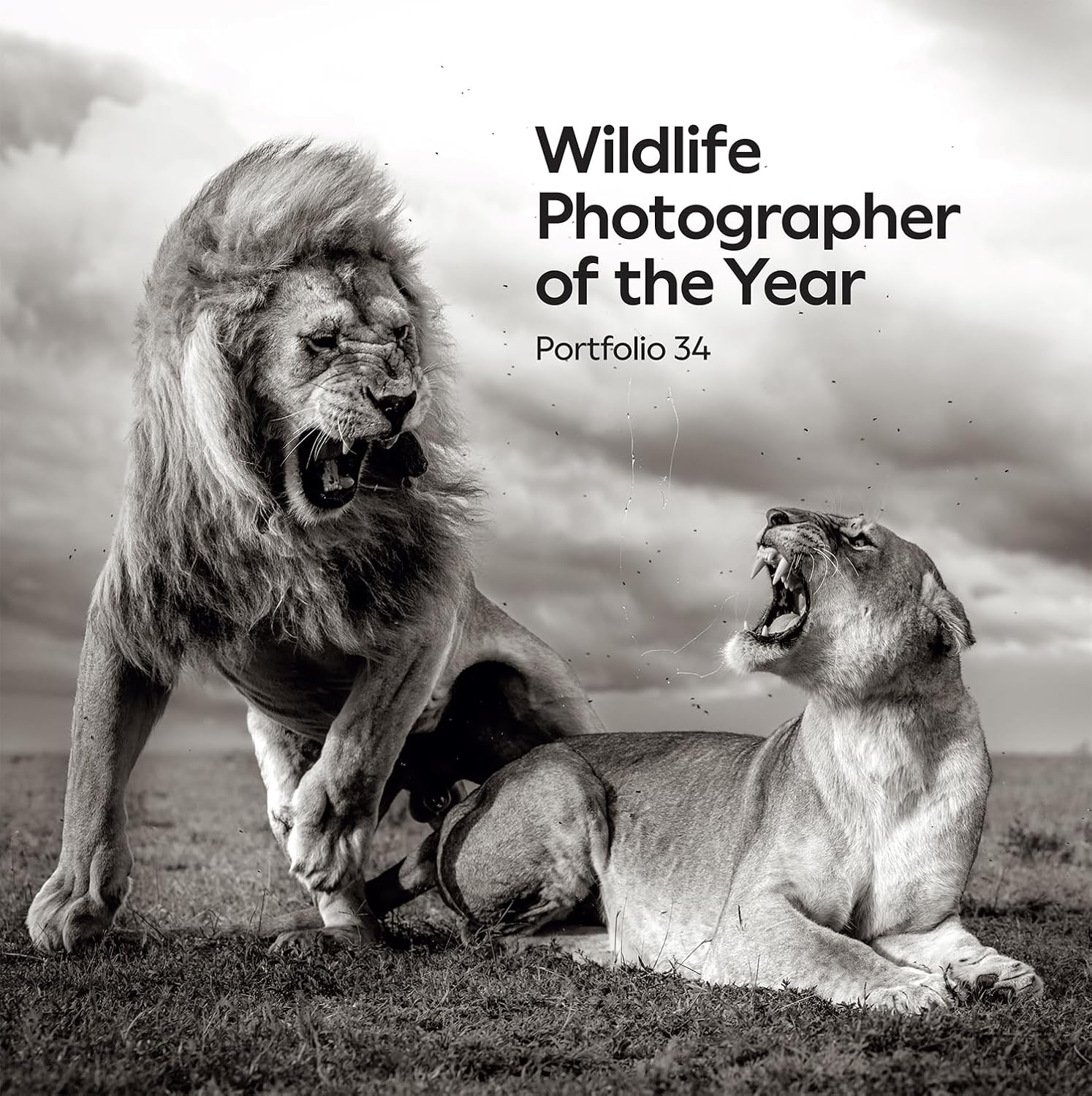 Wildlife Photographer of the Year: Portfolio 34 (34) - Image 1
