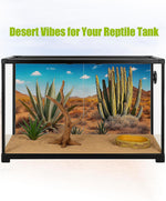Helidrago 36x18 Inches desert style pet terrarium background installed on a glass reptile tank.