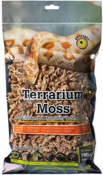 Galapagos terrarium sphagnum moss front view reptile bedding