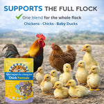 Buff Clucks Chick Formula USA imported natural poultry care pack