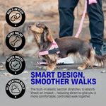 Dog Friendly Co. heavy duty leash illustrating the dual handle traffic control feature for close pet safety.