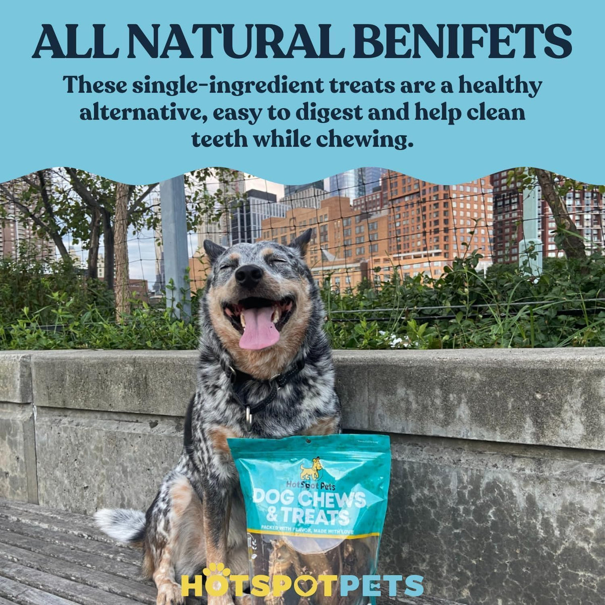 hotspot pets Premium Split Elk Antlers for Dogs - 7 Inch Large Dog Chews (2 Pack) Made in USA -Naturally Shed Antler Bone for Large Breed Chewers -Promotes Natural Dental Hygiene - Image 9