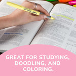 BIC Brite Liner Grip set displayed next to bullet journal and notes