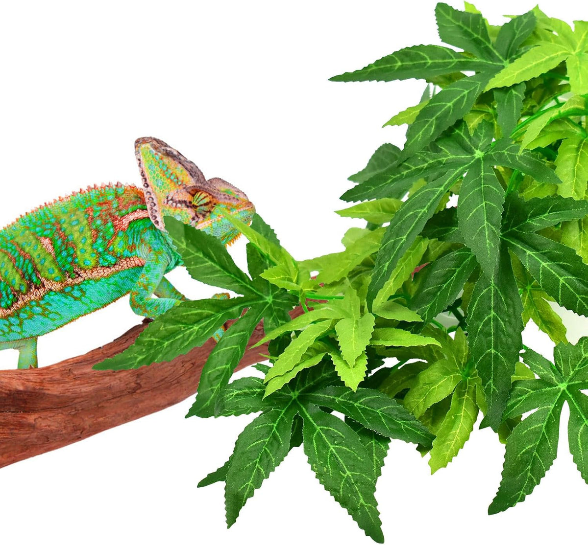 Reptile tank interior decoration using Katumo plants
