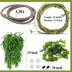 Hercocci habitat decor set for bearded dragons