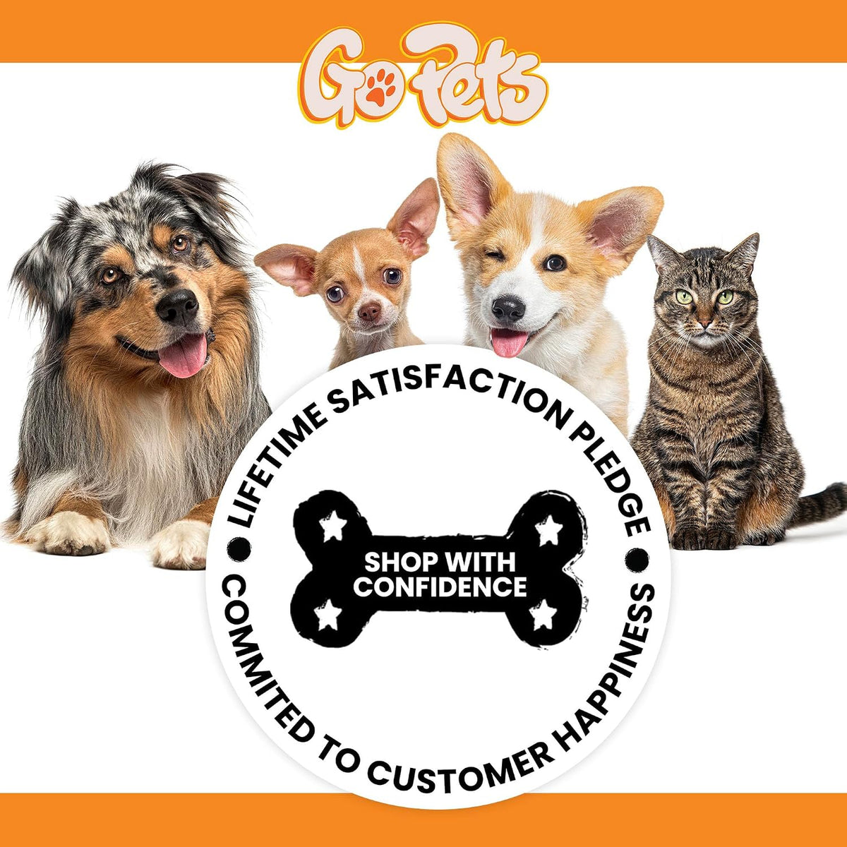 Professional grooming tool for dogs and cats on white background