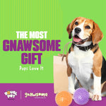 Non-toxic pet toy for dental health and exercise