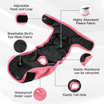 Paw Legend X-Small female dog diaper showing adjustable hook and loop closures